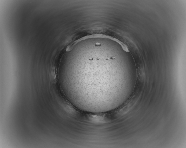 X0000116610232200912181212