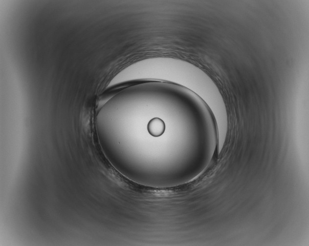 X0000116610233200912181212