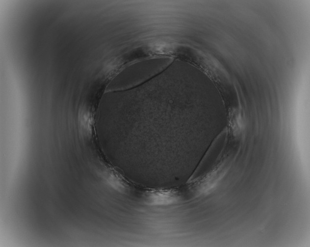 X0000116610235200912181212