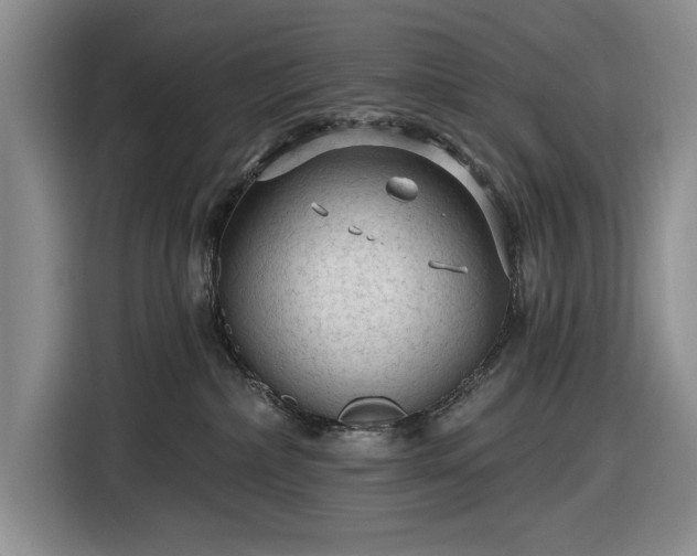 X0000116610236200912181212