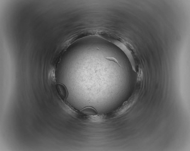 X0000116610238200912181212