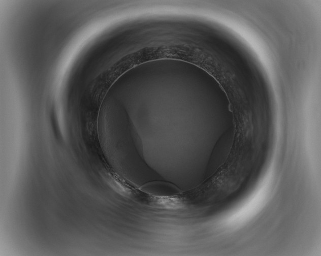 X0000116610239200912181212