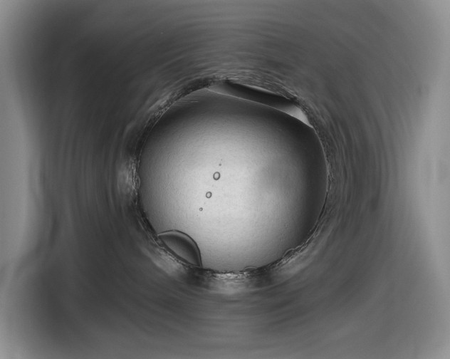 X0000116610240200912181212