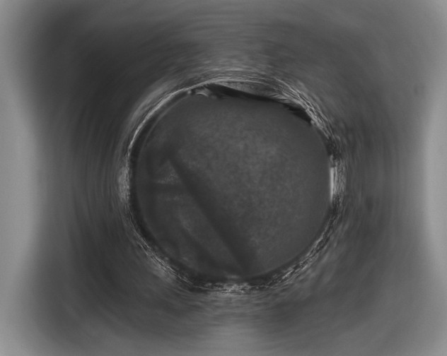 X0000116610243200912181212