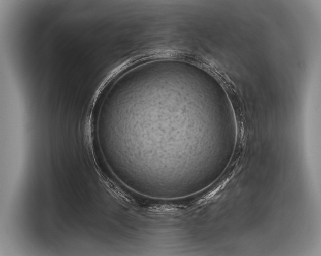 X0000116610244200912181212