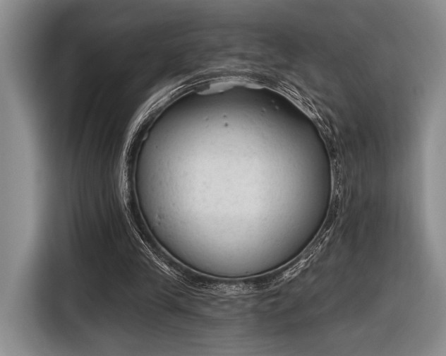 X0000116610245200912181212