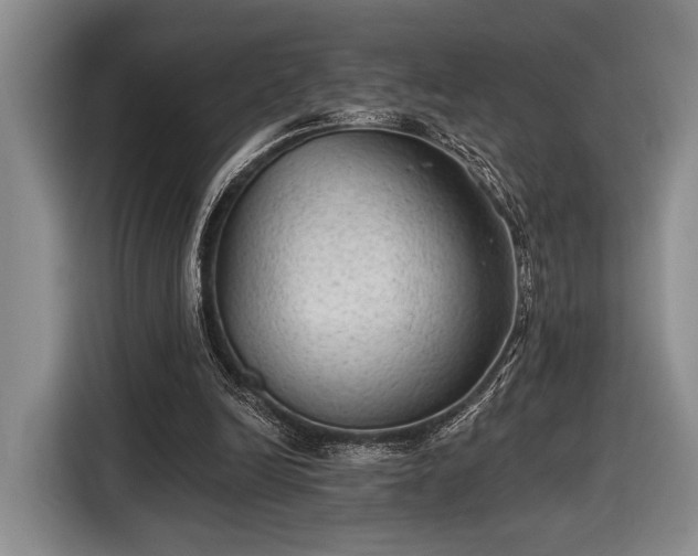 X0000116610246200912181212