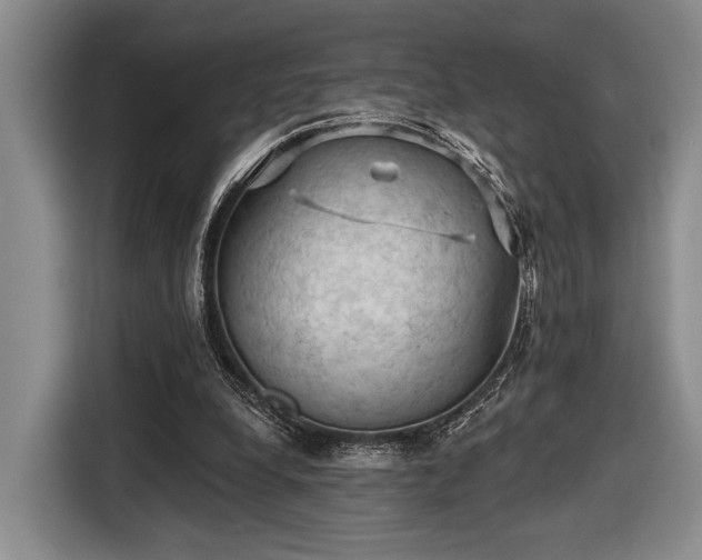 X0000116610248200912181212