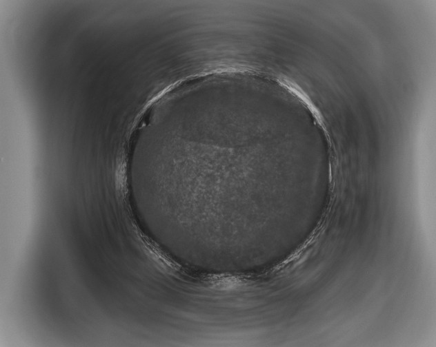 X0000116610249200912181212