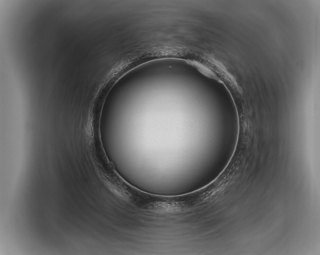 X0000116610250200912181212