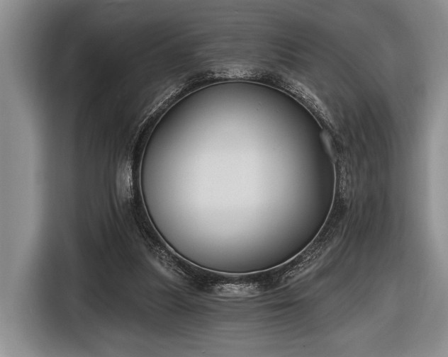 X0000116610251200912181212