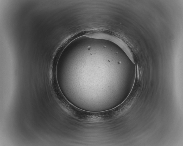 X0000116610252200912181212