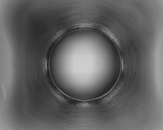 X0000116610253200912181212