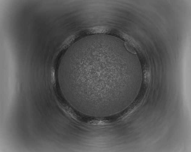 X0000116610254200912181212