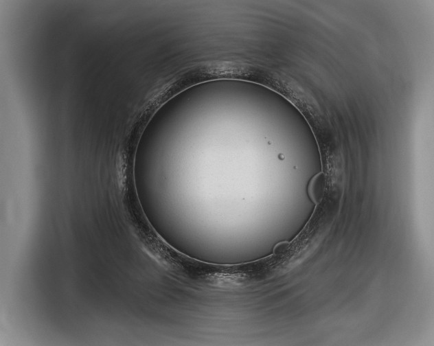 X0000116610255200912181212