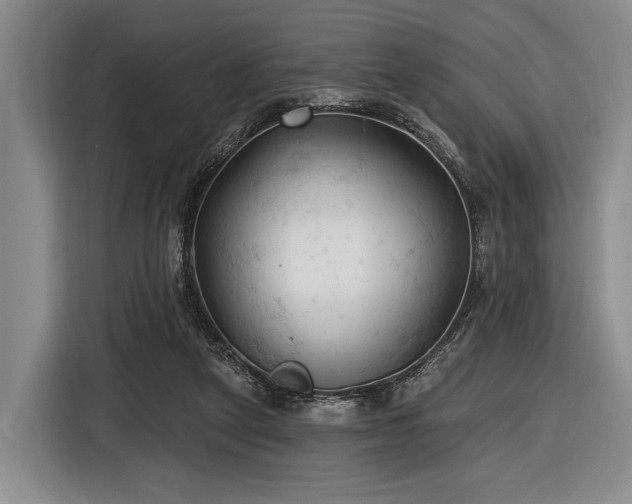 X0000116610257200912181212