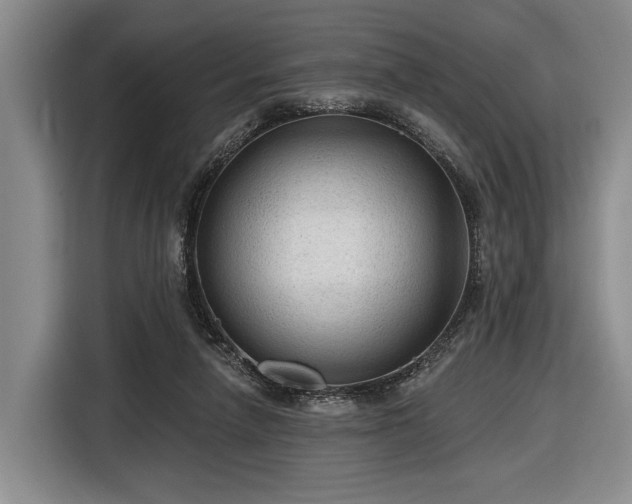 X0000116610258200912181212