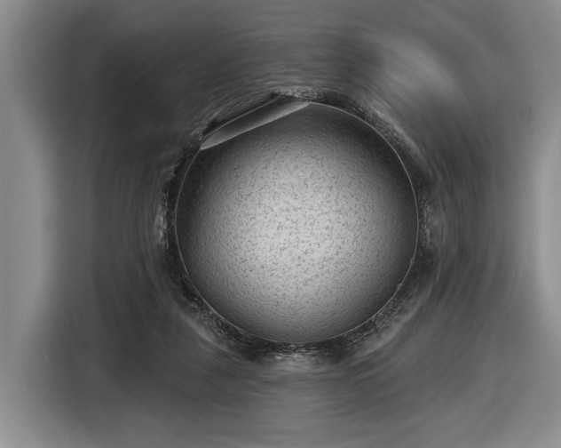 X0000116610259200912181212