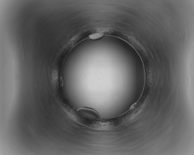 X0000116610260200912181212