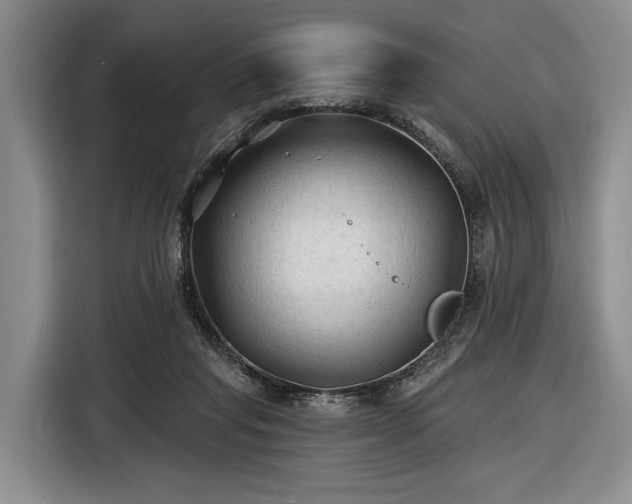 X0000116610261200912181212