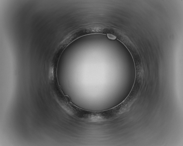 X0000116610262200912181212