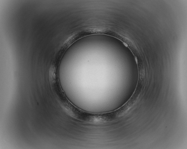 X0000116610264200912181212