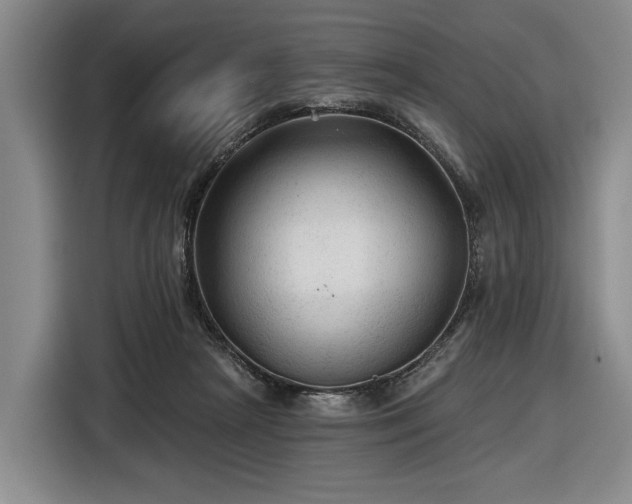 X0000116610265200912181212