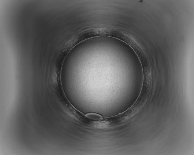 X0000116610266200912181212