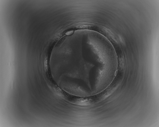 X0000116610267200912181212