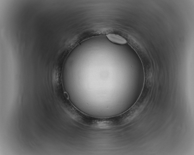 X0000116610268200912181212