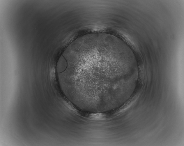 X0000116610269200912181212