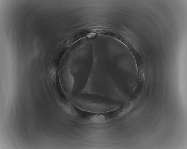 X0000116610271200912181212