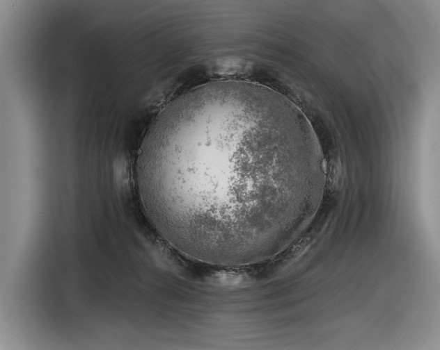 X0000116610272200912181212