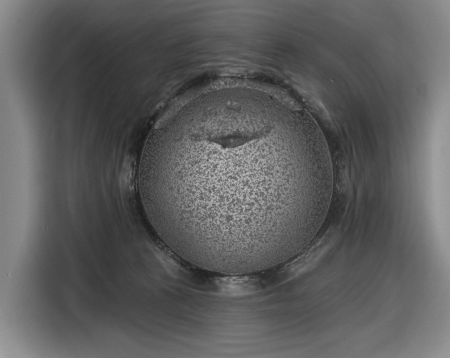 X0000116610273200912181212