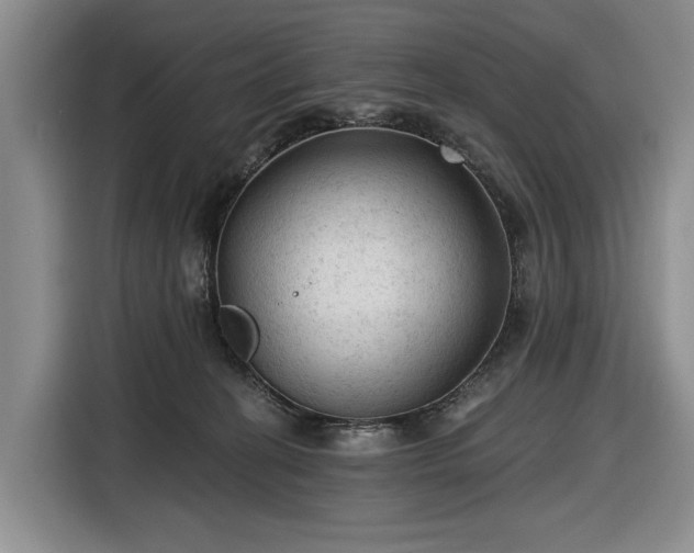 X0000116610274200912181212