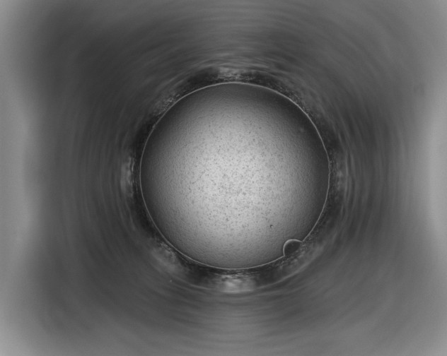 X0000116610275200912181212