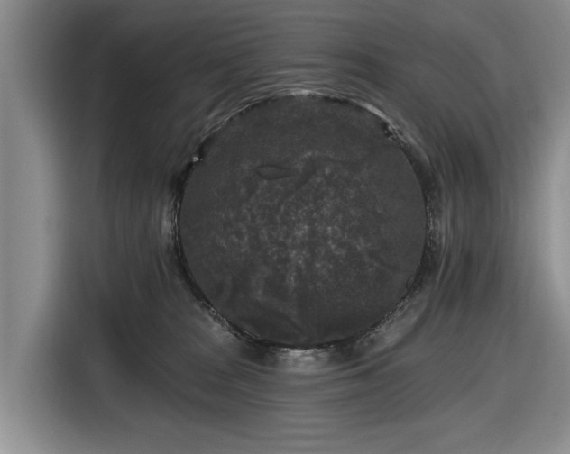 X0000116610277200912181212