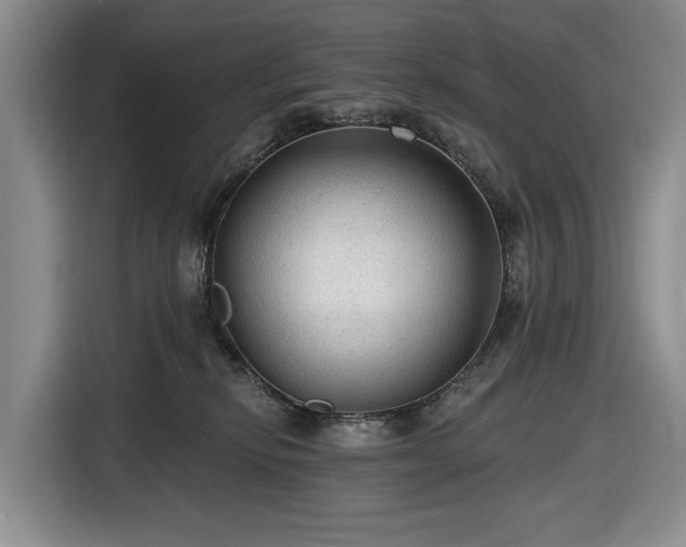 X0000116610278200912181212