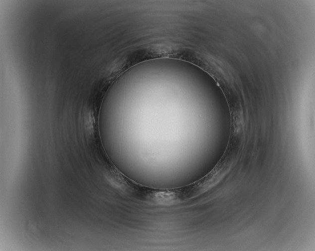 X0000116610279200912181212