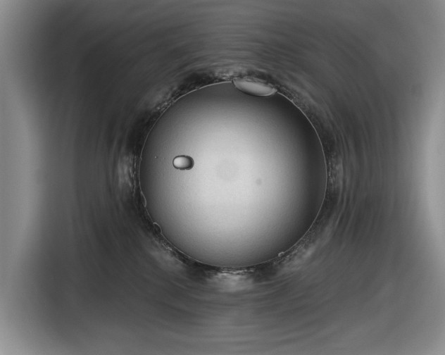 X0000116610280200912181212