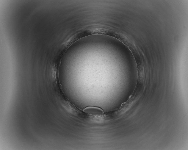 X0000116610282200912181212