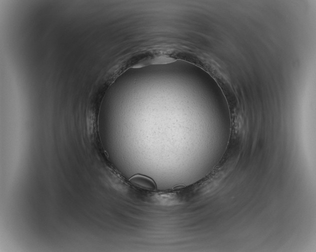 X0000116610283200912181212