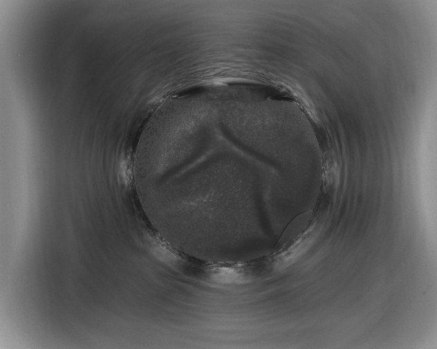 X0000116610285200912181212