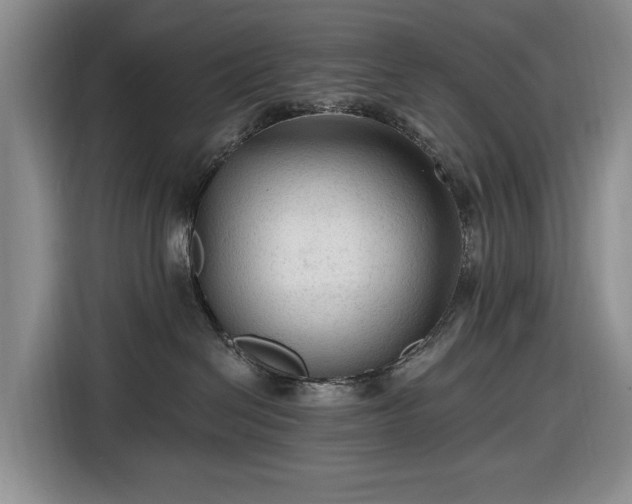 X0000116610286200912181212