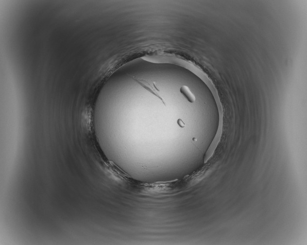 X0000116610288200912181212