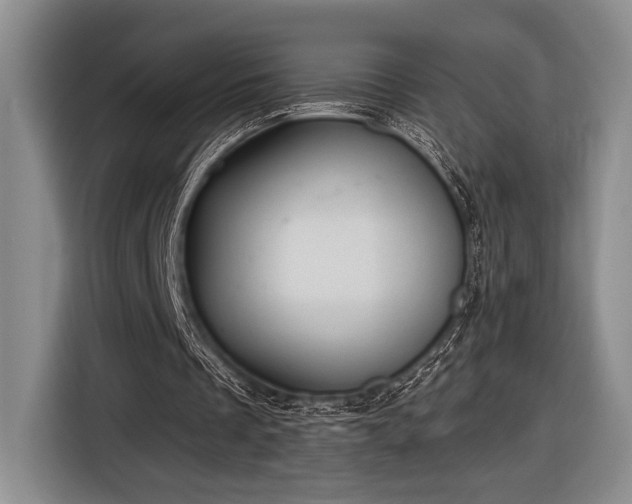 X0000116610289200912181212