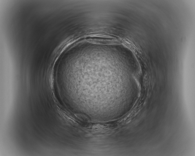 X0000116610290200912181212