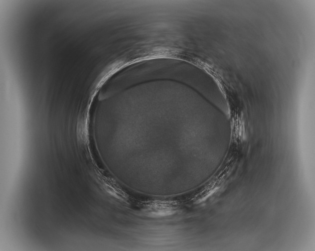 X0000116610292200912181212