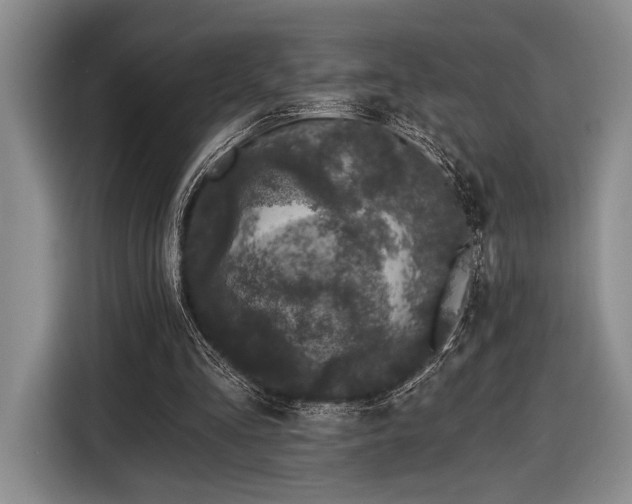 X0000116610293200912181212