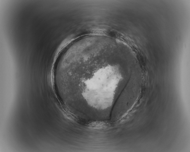 X0000116610294200912181212